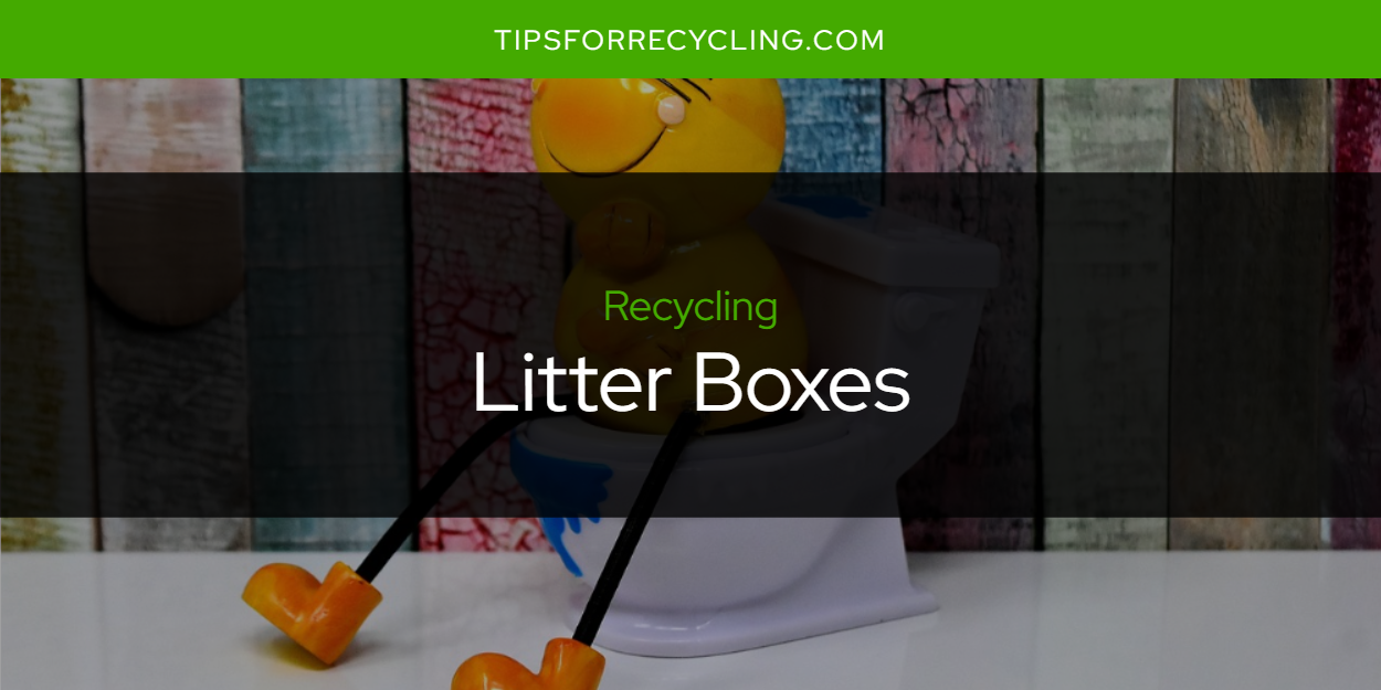 Are Litter Boxes Recyclable? Tips For Recycling Recycle Everything