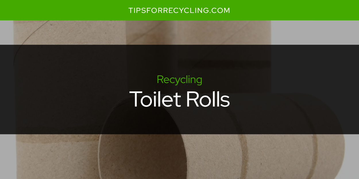 Are Toilet Rolls Recyclable? Tips For Recycling Recycle Everything