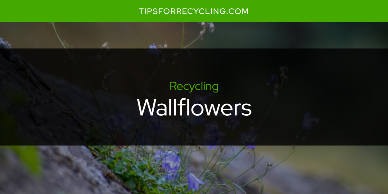 Are Wallflowers Recyclable? Tips For Recycling Recycle Everything